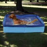 Pet Swimming Pool, Dog Wading Pool, Foldable Square-Shaped Paddling Pools For Dogs, Anti-Slip Pet Puppy Paddling Tub For Home Yard Garden Outdoor - Image 3