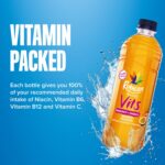 Rubicon Spring Vits Mango Passion Still Vitamin Water - 15 Calories per bottle for healthy hydration - Drinks Multipack 12 x 500ml Bottles - Image 6