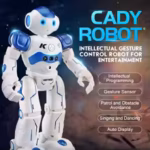 R2 Rc Robot Vector Smart Intelligent 2.4G Toys Gesture Remote Control Emo Lbx Robotica Dancing Bobo For Kids Children Gift - Image 6