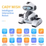 Intelligent Remote Control JJRC R22 Robot Toy Gesture Sensing Music Recording Education Programming Science Popularization Robot